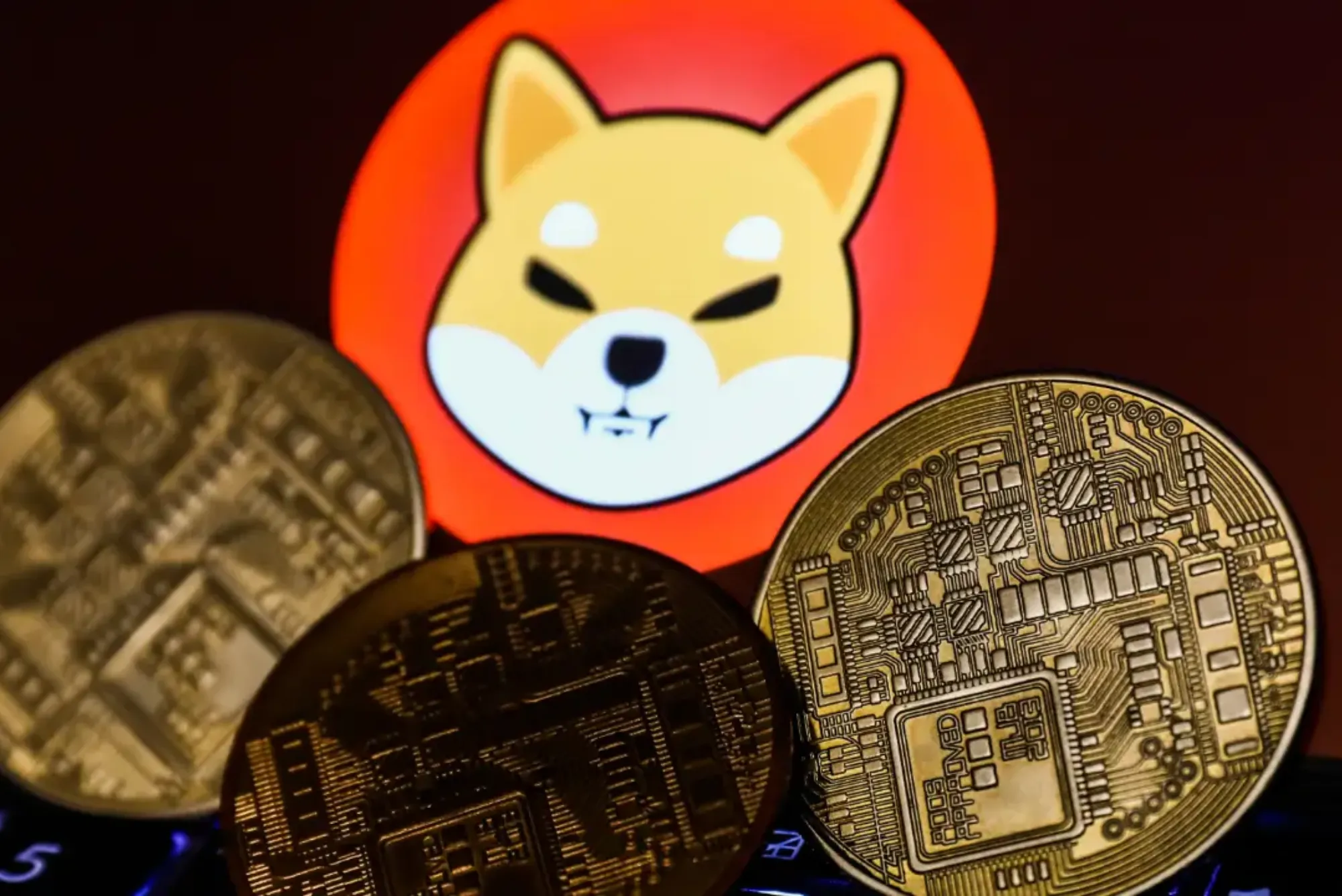 Is Shiba Inu a Private Cryptocurrency