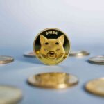 Is Shiba Inu a Privacy Coin?