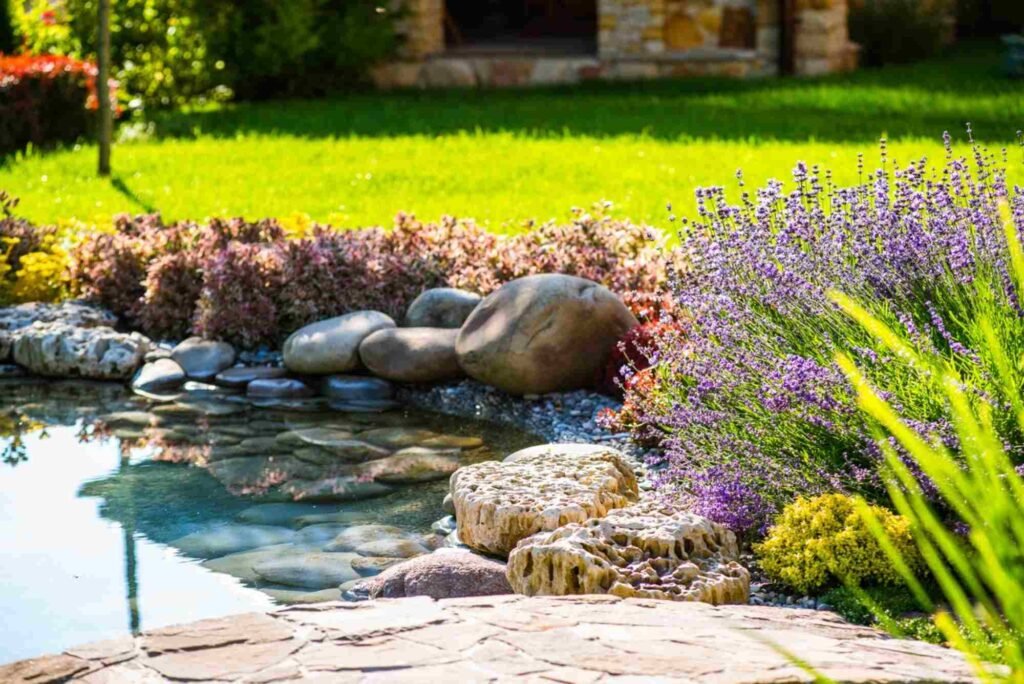 Designing Lush Water Gardens with Natural Biologique Pools