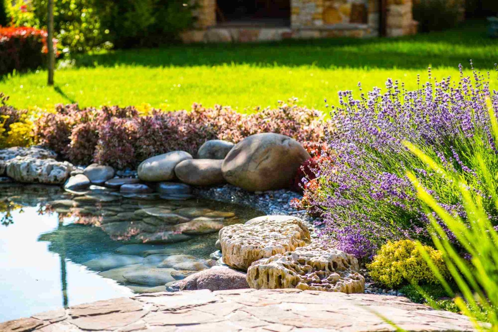 Designing Lush Water Gardens with Natural Biologique Pools