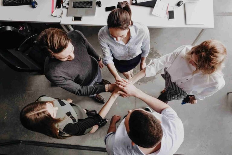 Must have a Team to Manage and Provide Professional Customer Service