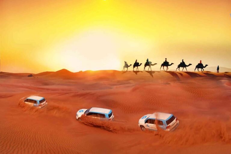 Practical Tips: Evening Vs Morning Desert Safari Guide