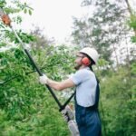 Ornamental Pruning in Cook County, IL