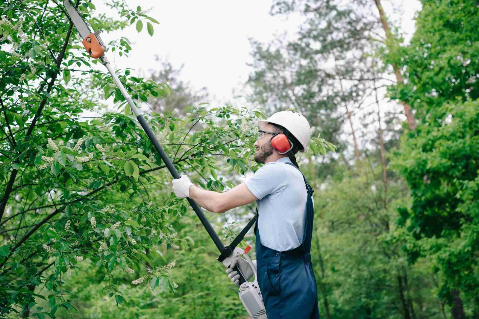 Ornamental Pruning in Cook County, IL